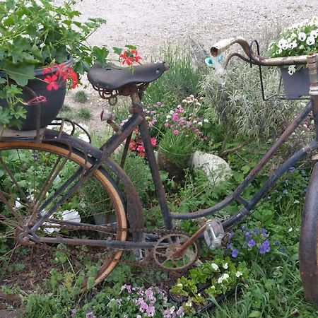 לינה וארוחת בוקר Morestel Basse-Cour De Montin Au 256 Chemin De La Rocaille A 38510 Vezeronce Curtin מראה חיצוני תמונה