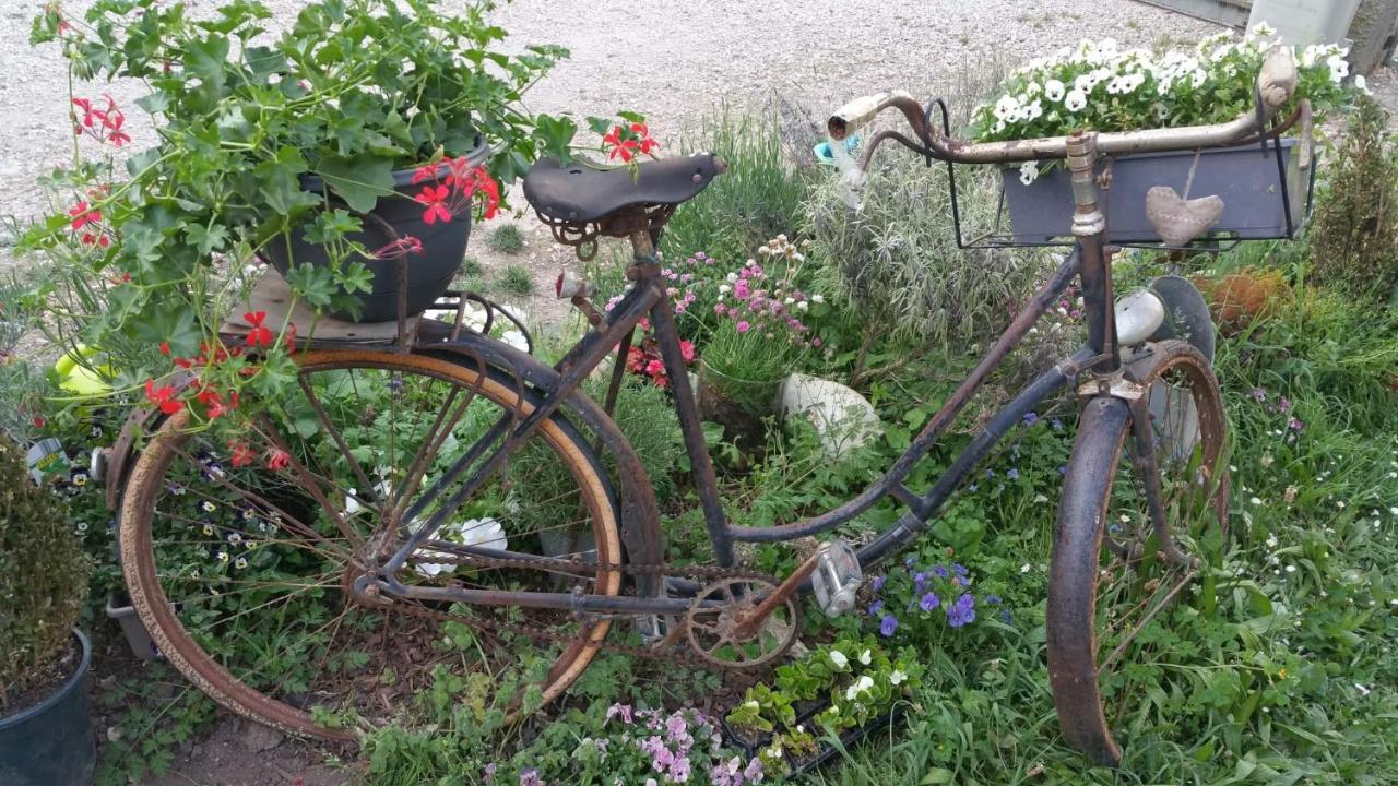 לינה וארוחת בוקר Morestel Basse-Cour De Montin Au 256 Chemin De La Rocaille A 38510 Vezeronce Curtin מראה חיצוני תמונה