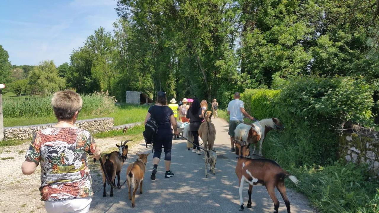 לינה וארוחת בוקר Morestel Basse-Cour De Montin Au 256 Chemin De La Rocaille A 38510 Vezeronce Curtin מראה חיצוני תמונה